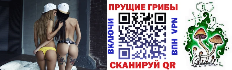 Псилоцибиновые грибы прущие грибы Химки