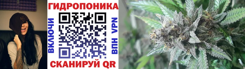 дарк нет формула  Химки  Марихуана марихуана 